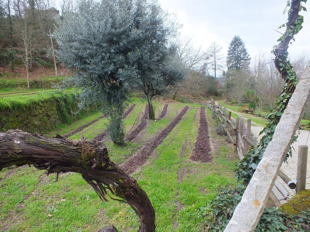 Quinta Do Caritel Villa Vouzela Cameră foto